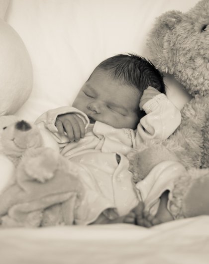 Sleeping with stuffed animals - New Born photography